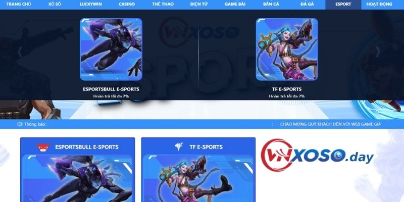 Đa dạng về sự Esport ở VNXOSO