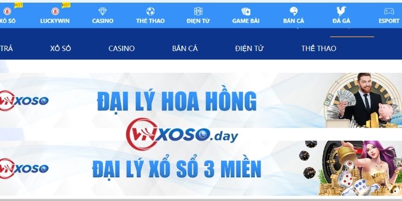 Kiểm soát tất cả các thông tin ở Vnxoso