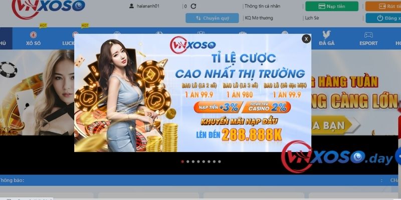 Đại lý của Vnxoso giúp bạn kiếm thu nhập hấp dẫn